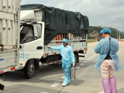 Phát hiện virus Vũ Hán trên bao bì, Trung Quốc tạm dừng nhập thanh long