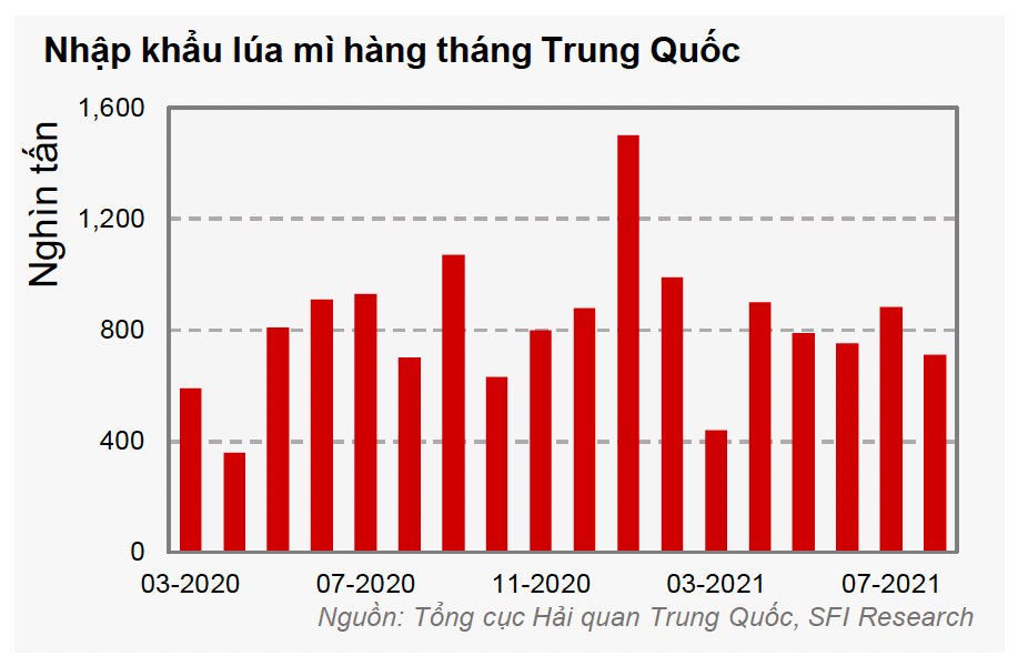 Mega A - Lượng lúa mì nhập khẩu của Trung Quốc qua các tháng (Đồ hoạ: Công ty Cổ phần Saigon Futures)