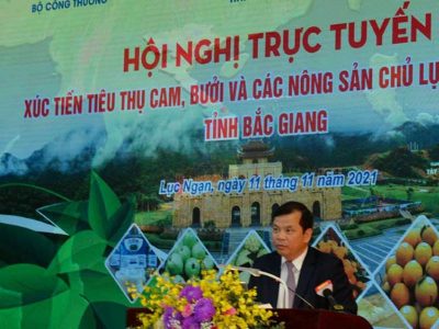 Bắc Giang: Xúc tiến tiêu thụ nông sản chủ lực trên sàn thương mại điện tử