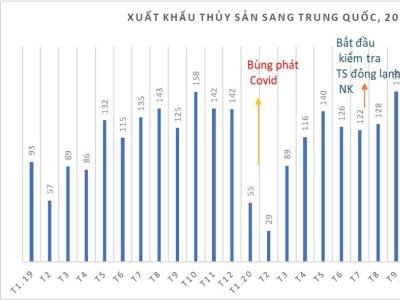 Dự báo: Xuất khẩu thuỷ sản sang Trung Quốc năm 2021 chỉ đạt 1 tỷ USD