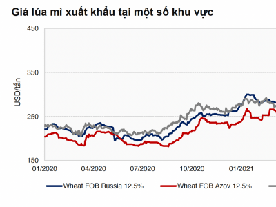 Cầu vượt cung khiến giá lúa mì trên thế giới tăng đột biến