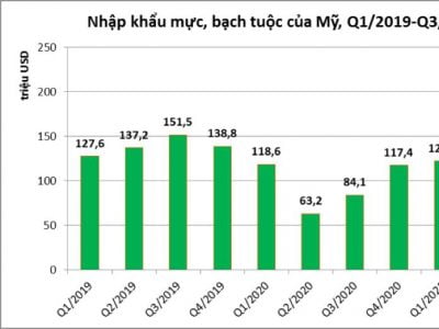 Mỹ: Nhập khẩu mực, bạch tuộc quý 3/2021 đạt cao nhất kể từ năm 2019