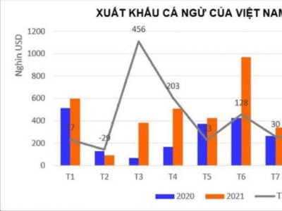 Tháng 9: Xuất khẩu cá ngừ sang thị trường Trung Quốc tăng cao trở lại