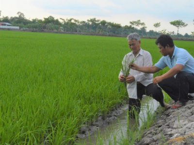 Kiên Giang kết nối tiêu thụ khoảng 1,54 triệu tấn nông, thủy sản