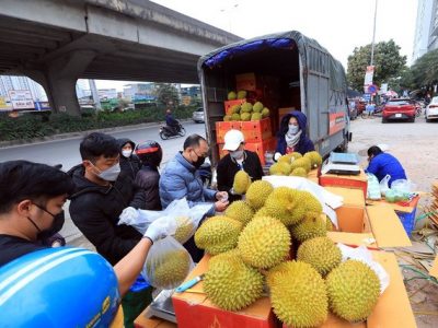 Ùn tắc cửa khẩu, mít, sầu riêng… “đổ bộ” đường phố Hà Nội