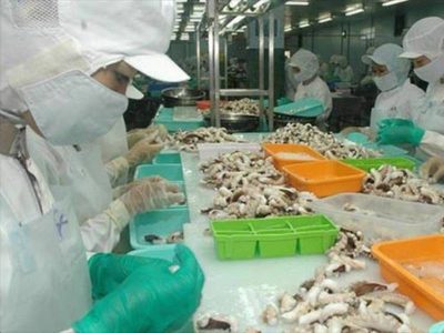 Việt Nam: Xuất khẩu mực, bạch tuộc năm 2021 tăng 7%