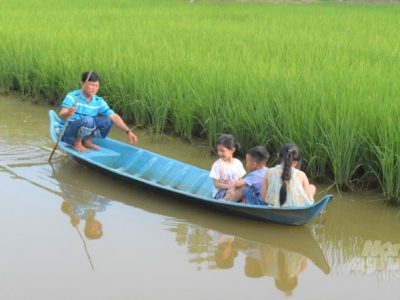 Kiên Giang đẩy mạnh phát triển kinh tế hợp tác trong thời gian qua