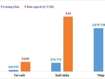 Việt Nam tái xuất khẩu hơn 100 nghìn tấn hạt điều trong năm 2021