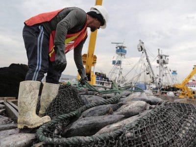 Ecuador mở rộng phân phối loin cá ngừ ra toàn cầu