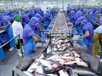 Nhờ RCEP, xuất khẩu cá tra sang Malaysia tăng gần 140%