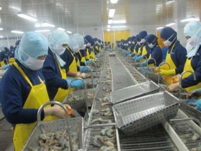 Các nước RCEP chiếm trên 63% thị phần xuất khẩu thủy sản Việt Nam