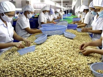 Hỗ trợ doanh nghiệp xuất khẩu thực phẩm tới các nước thành viên RCEP