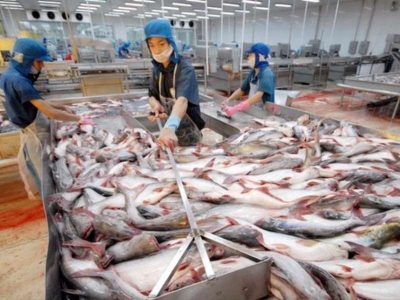 Thistle Seafoods: Anh không nên đơn phương áp thuế cá thịt trắng Nga