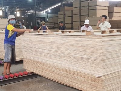 Hoa Kỳ sẽ áp thuế gỗ dán có lõi nguyên liệu là ván bóc Trung Quốc