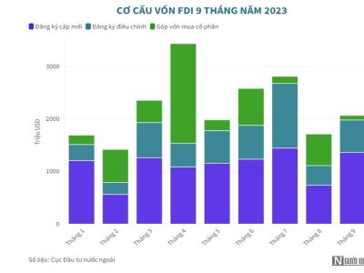 Vì Sao Việt Nam Là Địa Điểm Hấp Dẫn Với FDI Toàn Cầu