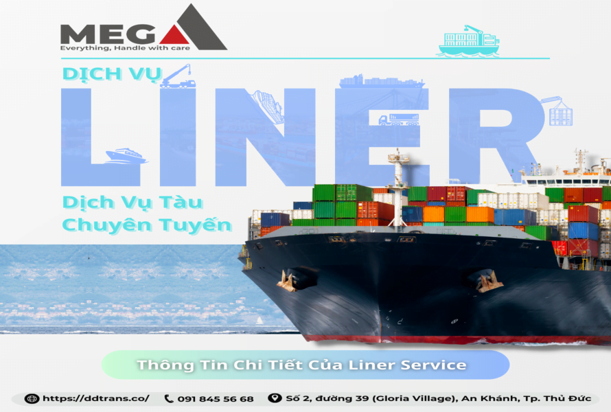 Dịch vụ liner service 