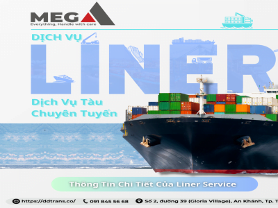 Phân Biệt Chi Tiết Nhất Dịch Vụ Liner Service Và Tramp Service