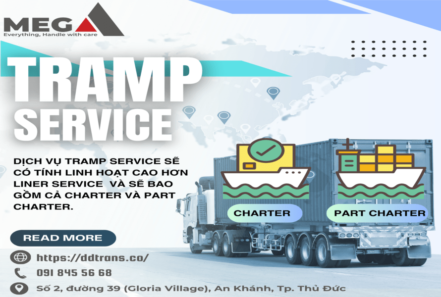 Đặc điểm dịch vụ Tramp Service 