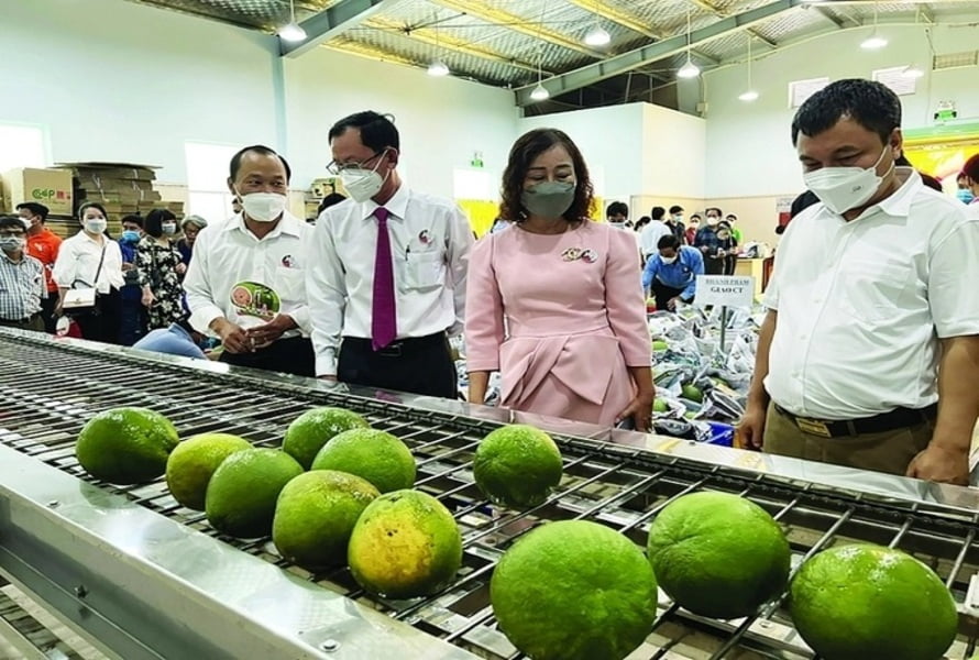 Hình 4 Các bộ ngành liên quan cùng với doanh nghiệp thường xuyên tổ chức các diễn đàn, hội thảo chia sẻ kiến thức về nông sản