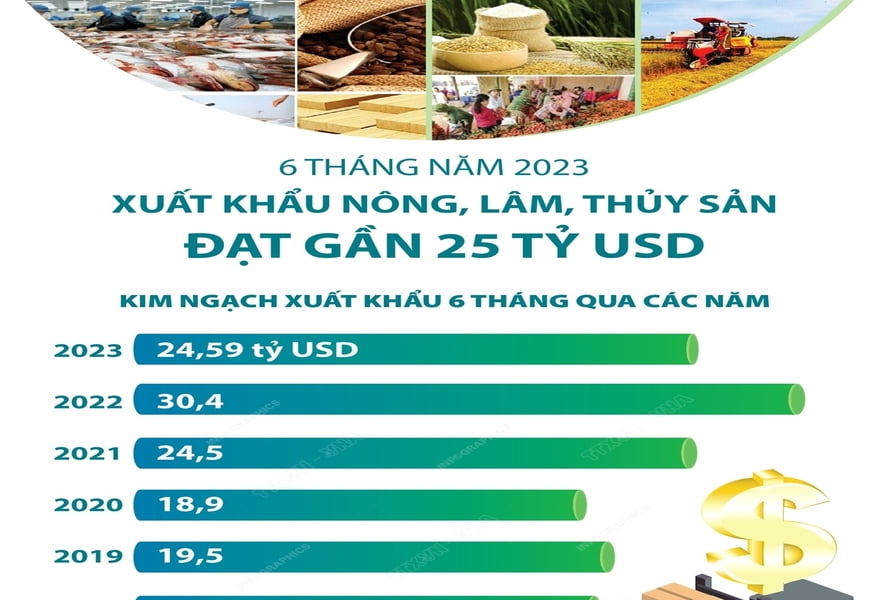 Hình 9 6 tháng năm 2023 Xuất khẩu nông, lâm, thủy sản đạt gần 25 tỷ USD